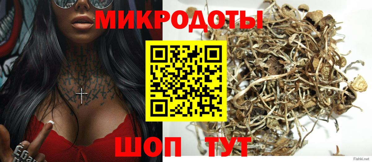 Бахчисарай  где продают наркотики  Вход с VPN  Галлюциногенные грибы мицелий 