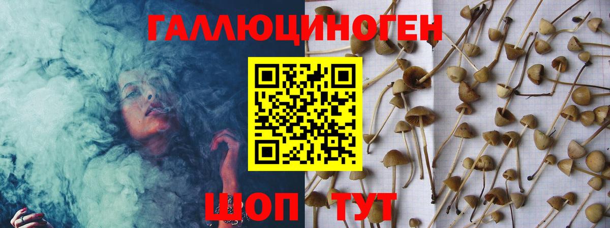 Галлюциногенные грибы Cubensis Бахчисарай